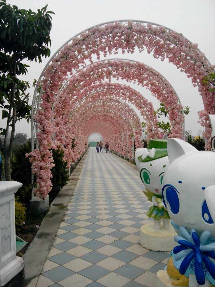 百萬(wàn)葵園3