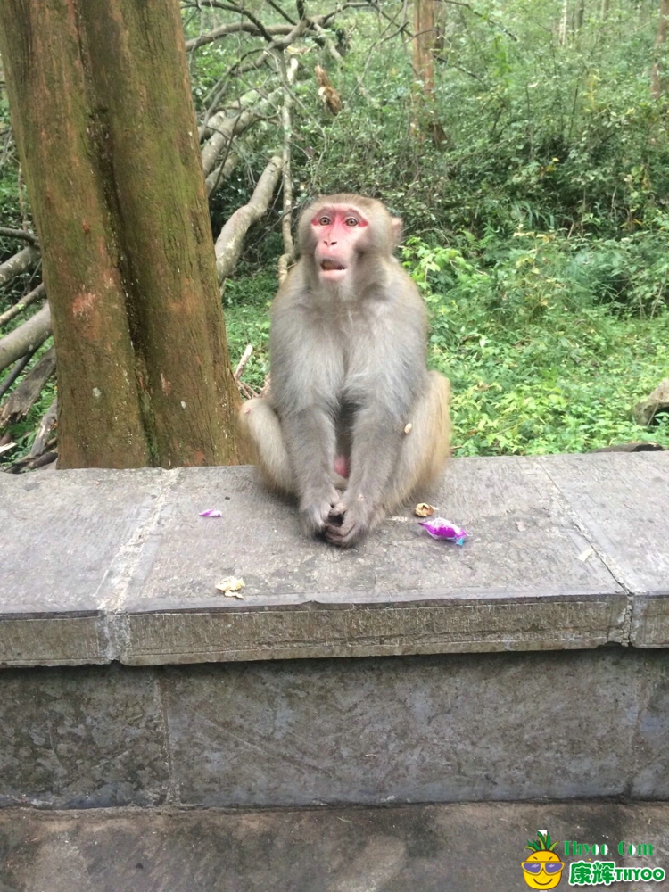 張家界、鳳凰古城旅游圖