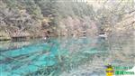 美麗的九寨溝9
