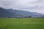 西雙版納風景3